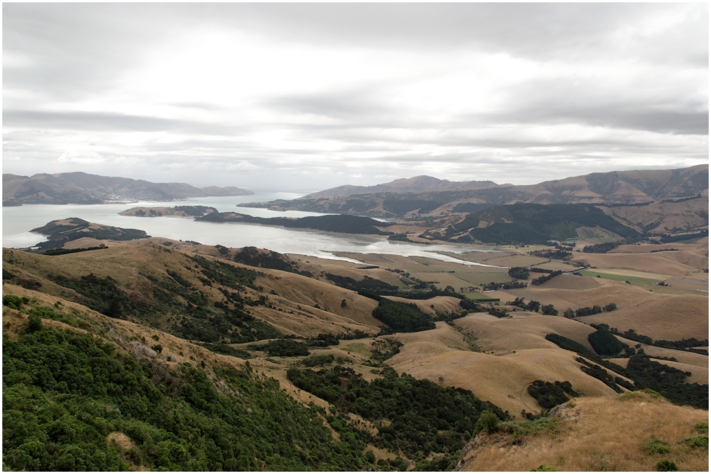 01 - Christchurch (10).jpg